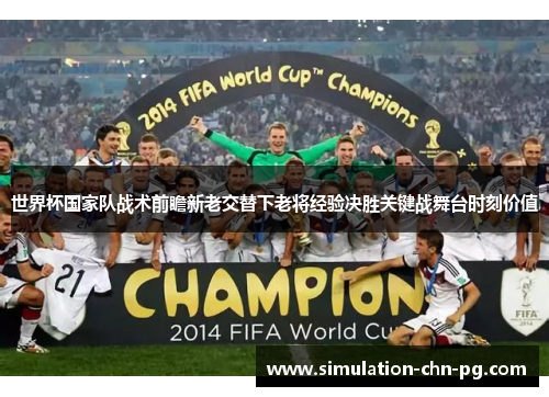 世界杯国家队战术前瞻新老交替下老将经验决胜关键战舞台时刻价值